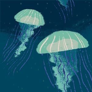 Meet your Posher, Kendall